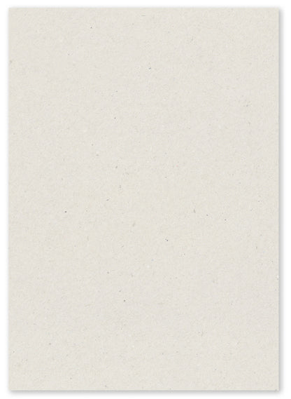 Paperwise Kopieer- en printerpapier A4 72 grams natural - 6 dozen-Nextsupplies