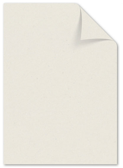 Paperwise Kopieer- en printerpapier A4 72 grams natural - Pallet met 48 dozen.-Nextsupplies
