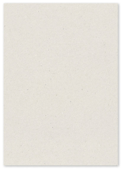 Paperwise Kopieer- en printerpapier A4 72 grams natural - Pallet met 48 dozen.-Nextsupplies