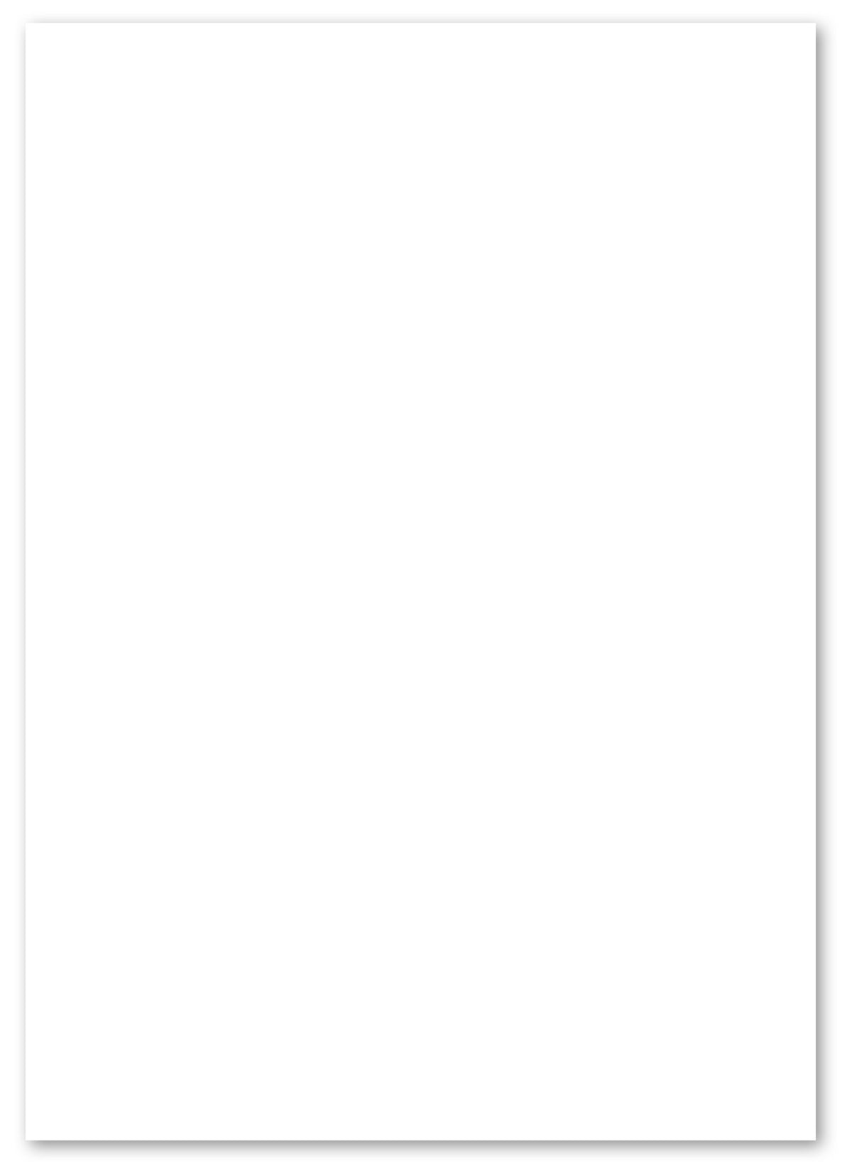 Paperwise Kopieer- en printerpapier A4 80 grams wit - 6 dozen-Nextsupplies