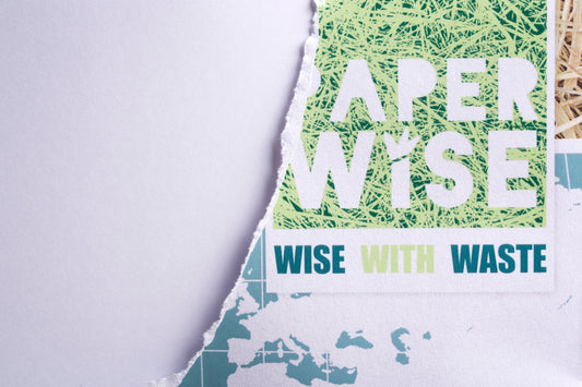 Paperwise Kopieer- en printerpapier A4 80 grams wit - 6 dozen-Nextsupplies