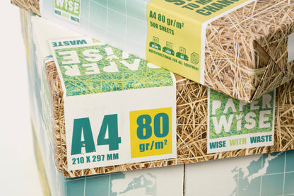 Paperwise Kopieer- en printerpapier A4 80 grams wit - 6 dozen-Nextsupplies